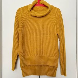 Cozy Turtleneck
